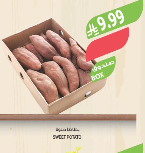 Sweet Potato available at المزرعة in مملكة العربية السعودية, السعودية, سعودية - الخبر‎
