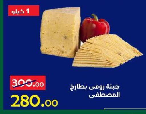 available at الدنيا بخير in Egypt - القاهرة