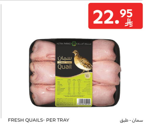 available at كارفور in مملكة العربية السعودية, السعودية, سعودية - جدة