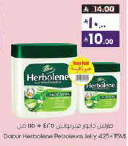 available at ستي فلاور in مملكة العربية السعودية, السعودية, سعودية - نجران