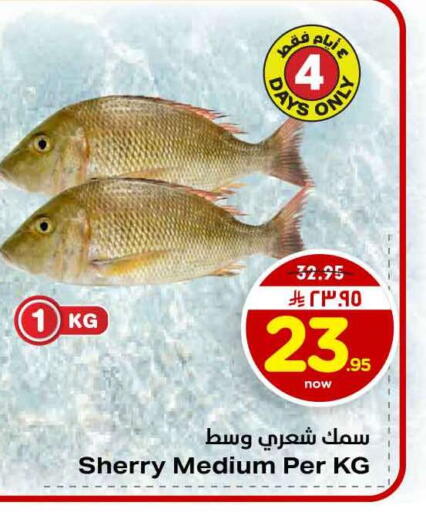 available at هايبر الوفاء in مملكة العربية السعودية, السعودية, سعودية - الخرج