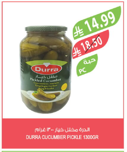 Cucumber available at المزرعة in مملكة العربية السعودية, السعودية, سعودية - جدة