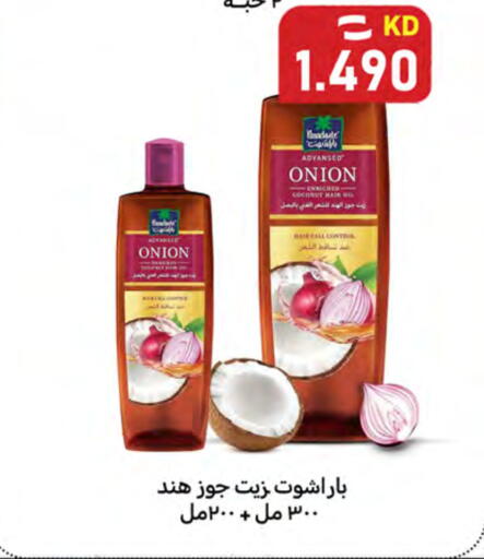 Coconut Onion available at شركة سوق ميم المركزي  in الكويت - محافظة الأحمدي