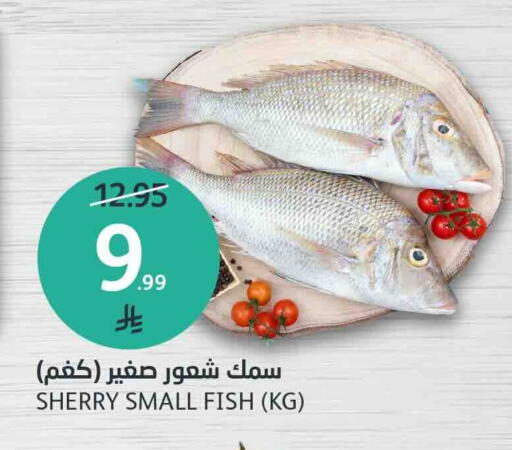 available at مركز الجزيرة للتسوق in مملكة العربية السعودية, السعودية, سعودية - الرياض