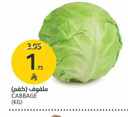 Cabbage available at مركز الجزيرة للتسوق in مملكة العربية السعودية, السعودية, سعودية - الرياض