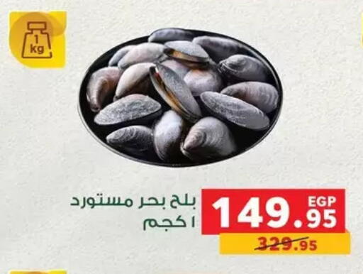 available at Panda  in Egypt - Cairo