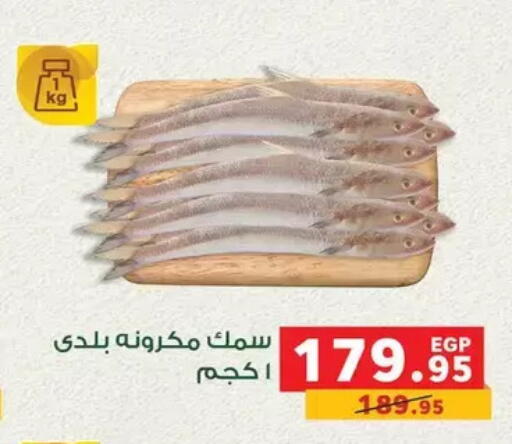 available at بنده in Egypt - القاهرة