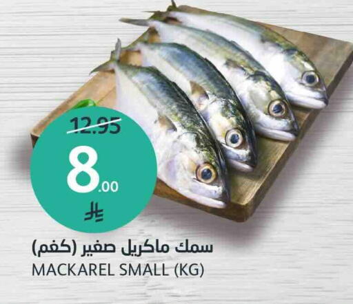 available at مركز الجزيرة للتسوق in مملكة العربية السعودية, السعودية, سعودية - الرياض