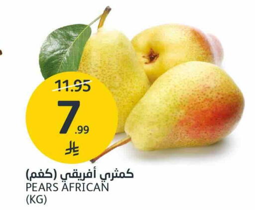 available at مركز الجزيرة للتسوق in مملكة العربية السعودية, السعودية, سعودية - الرياض