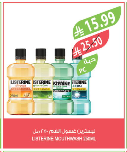 Mint available at Farm  in KSA, Saudi Arabia, Saudi - Tabuk