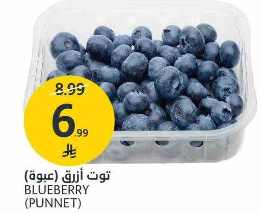 Blueberry BlueBerry available at مركز الجزيرة للتسوق in مملكة العربية السعودية, السعودية, سعودية - الرياض