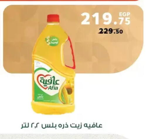 available at Panda  in Egypt - Cairo