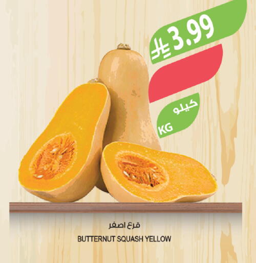 Squash available at المزرعة in مملكة العربية السعودية, السعودية, سعودية - الخبر‎