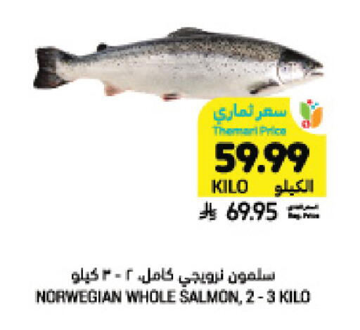 available at أسواق التميمي in مملكة العربية السعودية, السعودية, سعودية - تبوك