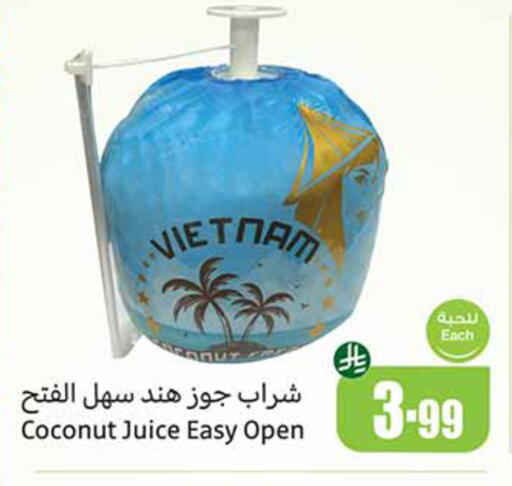 Coconut available at Othaim Markets in KSA, Saudi Arabia, Saudi - Al Qunfudhah