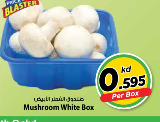 Mushroom available at مارك & سايف in الكويت - محافظة الأحمدي