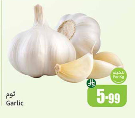 Garlic available at Othaim Markets in KSA, Saudi Arabia, Saudi - Wadi ad Dawasir