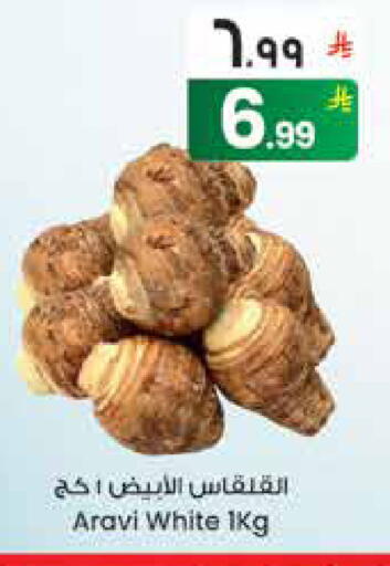 available at City Flower in KSA, Saudi Arabia, Saudi - Hail