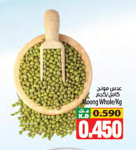 Mango available at Mango Hypermarket  in Kuwait - Kuwait City