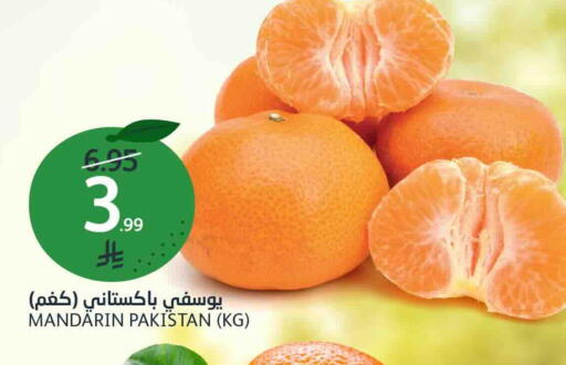 Mandarin from Pakistan available at مركز الجزيرة للتسوق in مملكة العربية السعودية, السعودية, سعودية - الرياض