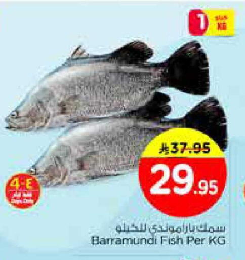 available at Nesto in KSA, Saudi Arabia, Saudi - Al Hasa