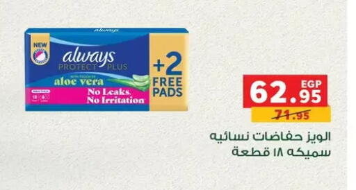 available at بنده in Egypt - القاهرة