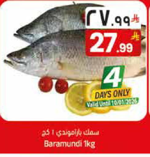 available at City Flower in KSA, Saudi Arabia, Saudi - Sakaka