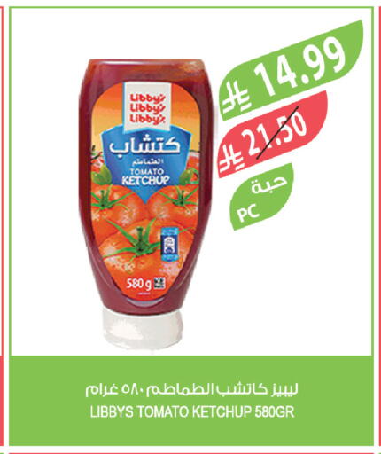 Tomato available at Farm  in KSA, Saudi Arabia, Saudi - Khamis Mushait