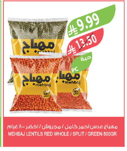 available at المزرعة in مملكة العربية السعودية, السعودية, سعودية - تبوك