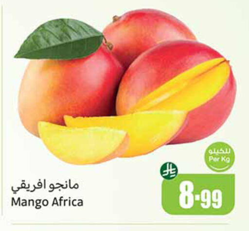 Mango available at Othaim Markets in KSA, Saudi Arabia, Saudi - Wadi ad Dawasir