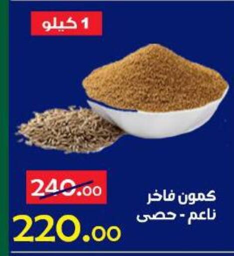 available at الدنيا بخير in Egypt - القاهرة
