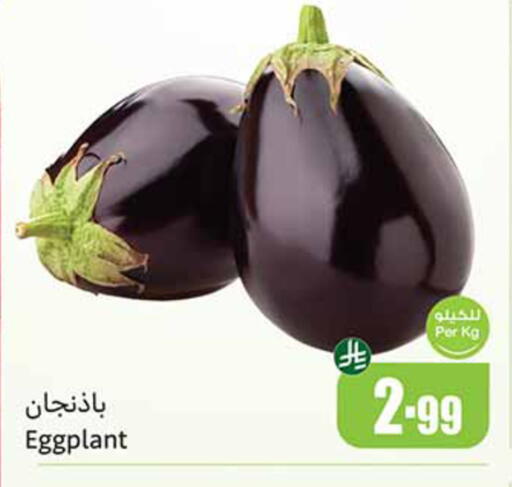 Eggplant available at Othaim Markets in KSA, Saudi Arabia, Saudi - Wadi ad Dawasir