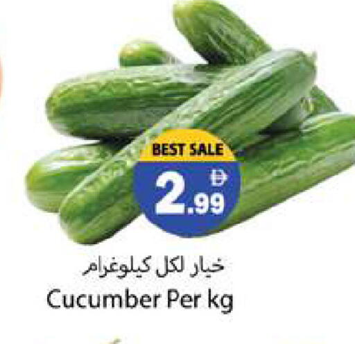 Cucumber available at جلف هايبرماركت ذ.م.م in الإمارات العربية المتحدة , الامارات - رَأْس ٱلْخَيْمَة