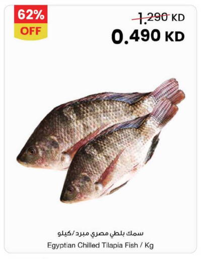 available at مركز سلطان in الكويت - محافظة الأحمدي