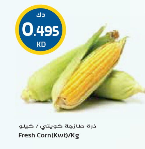 available at Grand Costo in Kuwait - Kuwait City