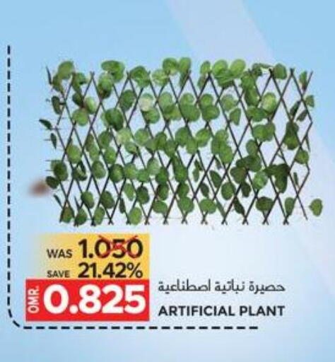 available at Dragon Gift Center in Oman - Muscat