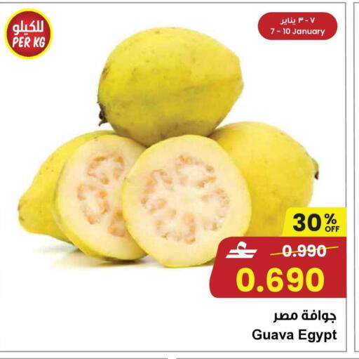 Guava from Egypt available at مركز سلطان in عُمان - مسقط‎