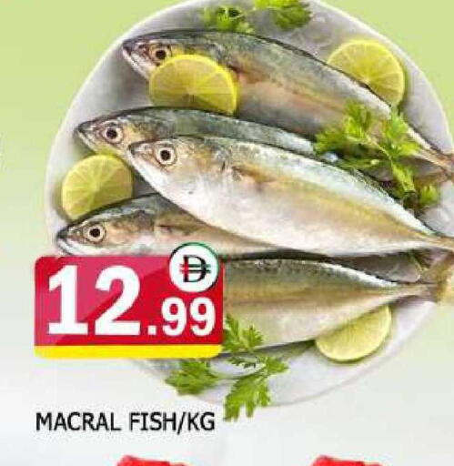 available at AL MADINA in UAE - Sharjah / Ajman