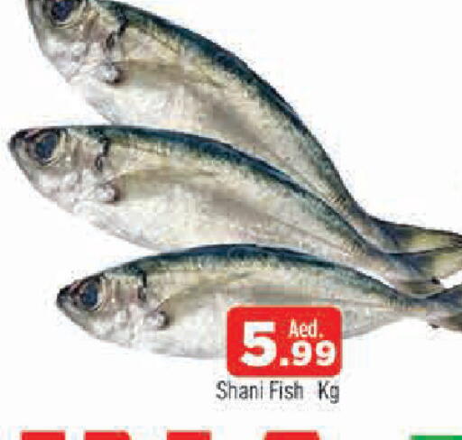 available at AL MADINA in UAE - Sharjah / Ajman