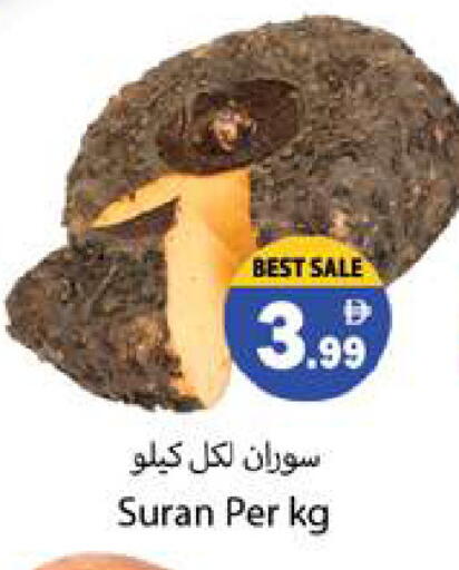 available at Gulf Hypermarket LLC in UAE - Ras al Khaimah