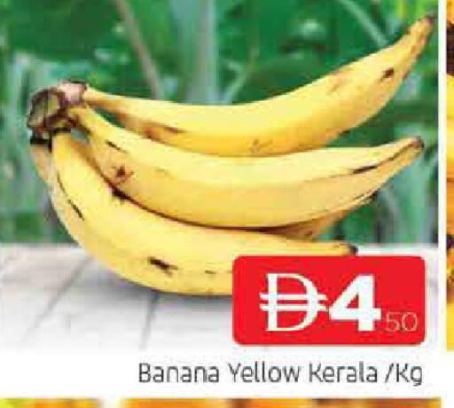 Banana available at المدينة in الإمارات العربية المتحدة , الامارات - الشارقة / عجمان