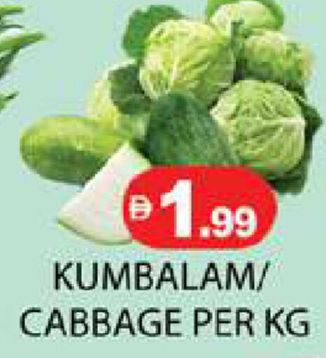 Cabbage available at Zain Mart Supermarket in UAE - Ras al Khaimah