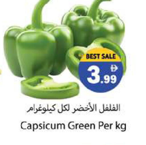 Capsicum available at جلف هايبرماركت ذ.م.م in الإمارات العربية المتحدة , الامارات - رَأْس ٱلْخَيْمَة