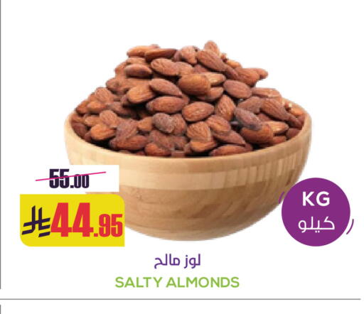 available at Sapt in KSA, Saudi Arabia, Saudi - Buraidah