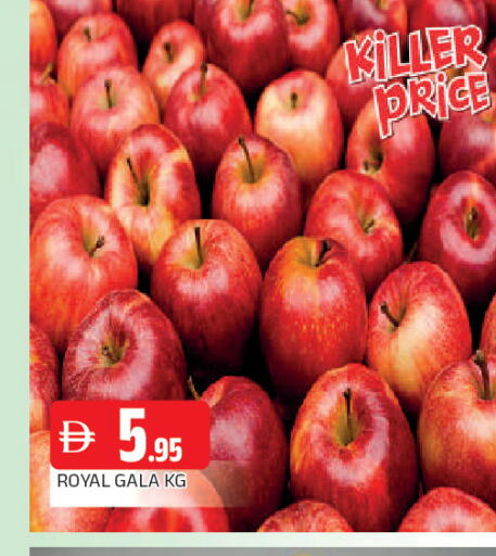 available at AL MADINA in UAE - Sharjah / Ajman