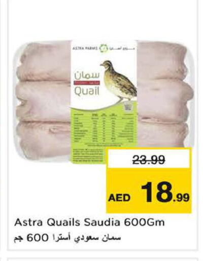 available at نستو هايبرماركت in الإمارات العربية المتحدة , الامارات - الشارقة / عجمان