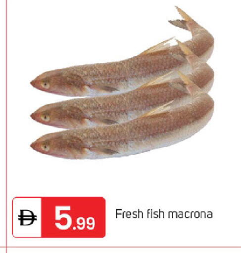 available at TALAL MARKET in UAE - Sharjah / Ajman