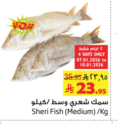 available at Layan Hyper in KSA, Saudi Arabia, Saudi - Al Khobar