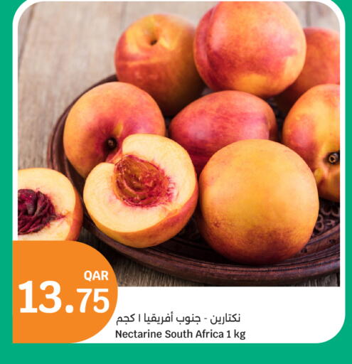 Nectarine from South Africa available at سيتي هايبرماركت in قطر - الشمال
