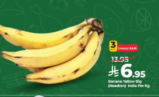 Banana from India available at LULU Hypermarket in KSA, Saudi Arabia, Saudi - Jeddah